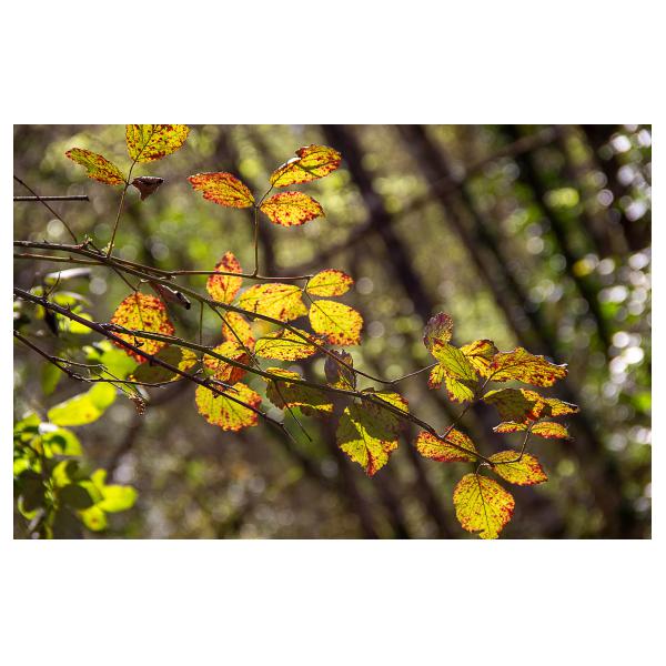 PHOTO84, CLUB, 84 , LUBERON